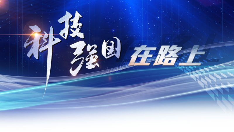 Nginx API网关：安全性配置要点解析